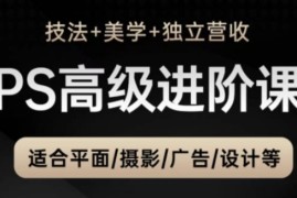 PS高级后期进阶课（技法 美学 独立营收），适合平面摄影广告设计等