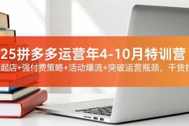2025拼多多运营年4-10月特训营：暴力起店 强付费策略 活动爆流 突破运营瓶颈，干货拉满