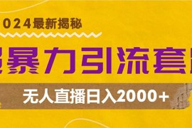 （12800期）超暴力引流套路，无人直播日入2000 