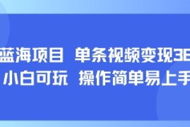 8月AI蓝海项目，单条视频变现1k  小白可玩 操作简单易上手