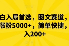 小白入局首选，图文赛道，一周涨粉5000 ，简单快捷，日入200 
