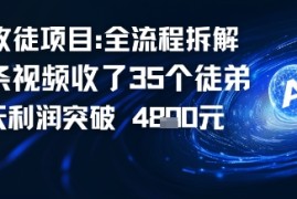 AI收徒项目全流程拆解一条视频收了三十几个徒弟，当天利润突破1k