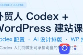 外贸人Codex   WordPress建站课