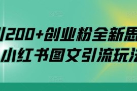 日引200 创业粉全新思路，小红书图文引流玩法【揭秘】