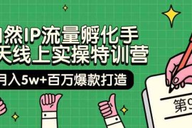 （9881期）自然IP流量孵化手 14天线上实操特训营【第9期】月入5w 百万爆款打造 (74节)