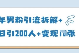 25年男粉引流拆解 单日引200人 变现多张