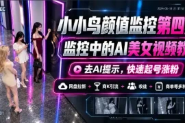 小小鸟颜值监控第四期，监控中的AI美女视频教学，去AI提示，快速起号涨粉，网盘拉新 商K引流 收徒 商单等多种收益