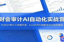 财会审计AI自动化实战营：Python审计工具箱开发，ExcelVBA加载项与AI协同编程