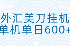 外汇美刀挂机：全自动挂机赚美金，单机600 