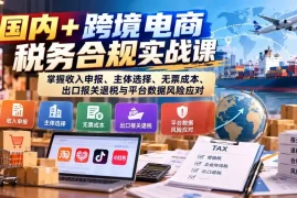 国内 跨境电商税务合规实战课：掌握收入申报、主体选择、无票成本、出口报关退税与平台数据风险应对