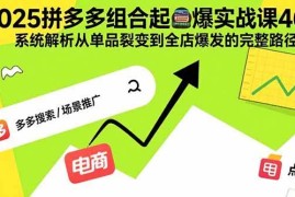 （15816期）2025拼多多组合起爆实战课46期：系统解析从单品裂变到全店爆发的完整路径