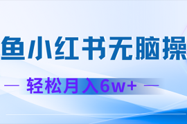 （12450期）2024赚钱的项目之一，轻松月入6万 ，最新可变现项目