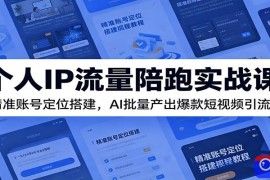 个人IP流量陪跑实战课：精准账号定位搭建，AI批量产出爆款短视频引流