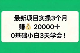 最新项目实操3个月，赚钱20000 ，0基础小白3天学会！