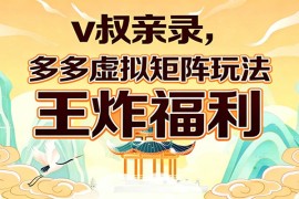 v叔亲录，多多虚拟矩阵玩法，王炸福利限时领取