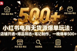 （16256期）小红书电商无货源爆单玩法：店铺开通 爆品筛选 笔记制作，一晚爆单500 