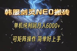 （13435期）韩服剑灵NEO搬砖攻略，单机纯利润月入6000  可矩阵操作，简单好上手。