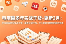 电商圈多年实战干货-更新3月：多位资深师兄实战干货，覆盖全域平台，中小卖家可复制的盈利指南
