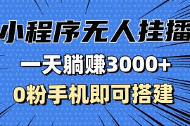 （13209期）抖音小程序无人挂播，一天躺赚3000 ，0粉手机可搭建，不违规不限流，小…