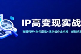 IP高变现实战课：赛道调研 账号搭建 爆款创作全攻略，解锁高收入布局