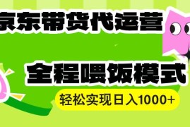（13957期）【京东带货代运营】操作简单、收益稳定、有手就行！轻松实现日入1000 