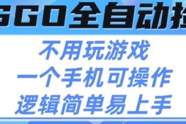 CSGO自动捡漏项目，最新独家玩法，不用挂G不用玩游戏，一个手机即可操作，新手小白轻松月入1W 【揭秘】