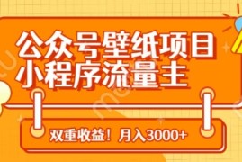 公众号壁纸项目，小程序流量主双收益，月入3000 