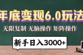 （13691期）年底变现6.0玩法，一天几分钟，日入3000 ，小白无脑操作
