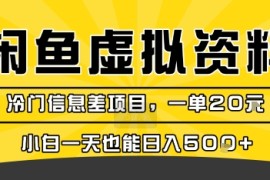 咸鱼虚拟资料变现，冷门信息差项目，一单20米，小白一天也能日入5张 
