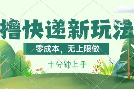 （11365期）撸快递最新玩法，零成本，无上限做，日产1000 。课程看完就会