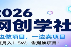 2026一边做项目，一边卖项目，稳定月入1-5W，告别换项目