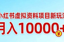 （17631期）小红书虚拟资料项目最新玩法，月入10000＋