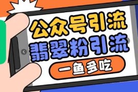 公众号利用推荐流量和搜一搜流量引流翡翠粉，一鱼多吃