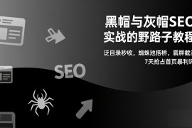 黑帽与灰帽SEO实战的野路子教程：泛目录秒收，蜘蛛池搭桥，霸屏截流，7天抢占首页暴利词
