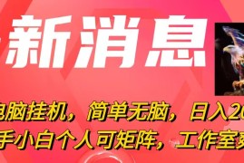 （10800期）最新电脑挂机，简单无脑，日入2000 适合新手小白个人可矩阵，工作室模…