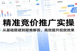 精准竞价推广实操：从基础搭建到疑难解答，高效提升投放效果