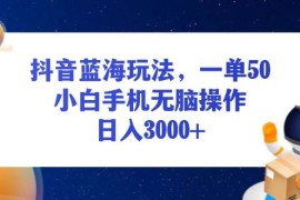 （13507期）抖音蓝海玩法，一单50，小白手机无脑操作，日入3000 