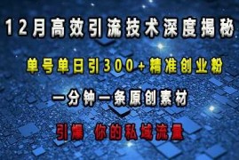 最新高效引流技术深度揭秘 ，单号单日引300 精准创业粉，一分钟一条原创素材，引爆你的私域流量