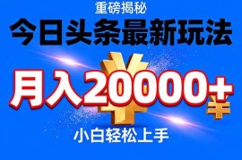 （17112期）今日头条代运营最新玩法，轻轻松松月入20000＋
