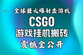 【年底大揭秘】基于全球最火爆的射击CSGO游戏挂G搬砖，日入5张 ，震撼公开