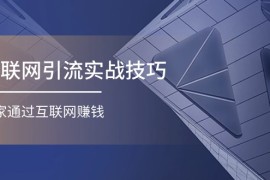（11108期）互联网引流实操技巧(适合微商，吸引宝妈)，宅家通过互联网创钱（17节）