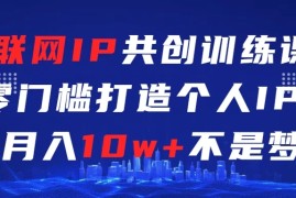 互联网IP共创训练课  零门槛打造个人IP  轻松月入2w 