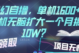 梦幻挂机自撸金，单机1600 超稳定收益，一天见收益，直接扩大