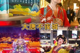 不夜城手机报价(不夜城手机报价网怎么样)