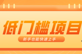 普通人搞钱小项目：视频号AI玩法，轻松制作10W 靠播放量月入万元