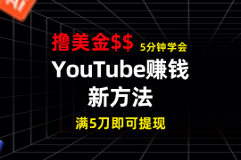 YouTube赚钱新方法！5分钟即可掌握，7天收入近7百美金，收益无上限！