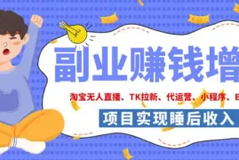 2026年多个真实落地副业项目，手把手带你搭建被动收入管道(淘宝无人直播、海外TK拉新、最新最全代运营、CSGO饰品交易、EA黄金量化、去水印小程序……)【揭秘】
