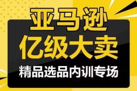 亚马逊亿级大卖-精品选品内训专场，亿级卖家分享选品成功之道