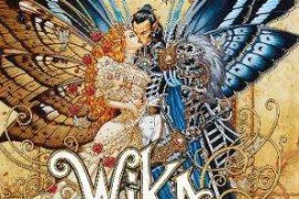 薇卡手机(手机微卡是什么意思)