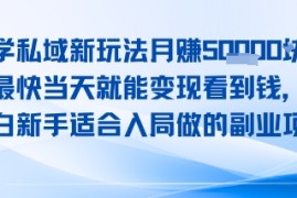 玄学私域新玩法月入1W ，最快当天就能变现看到米，小白新手适合入局做的副业项目